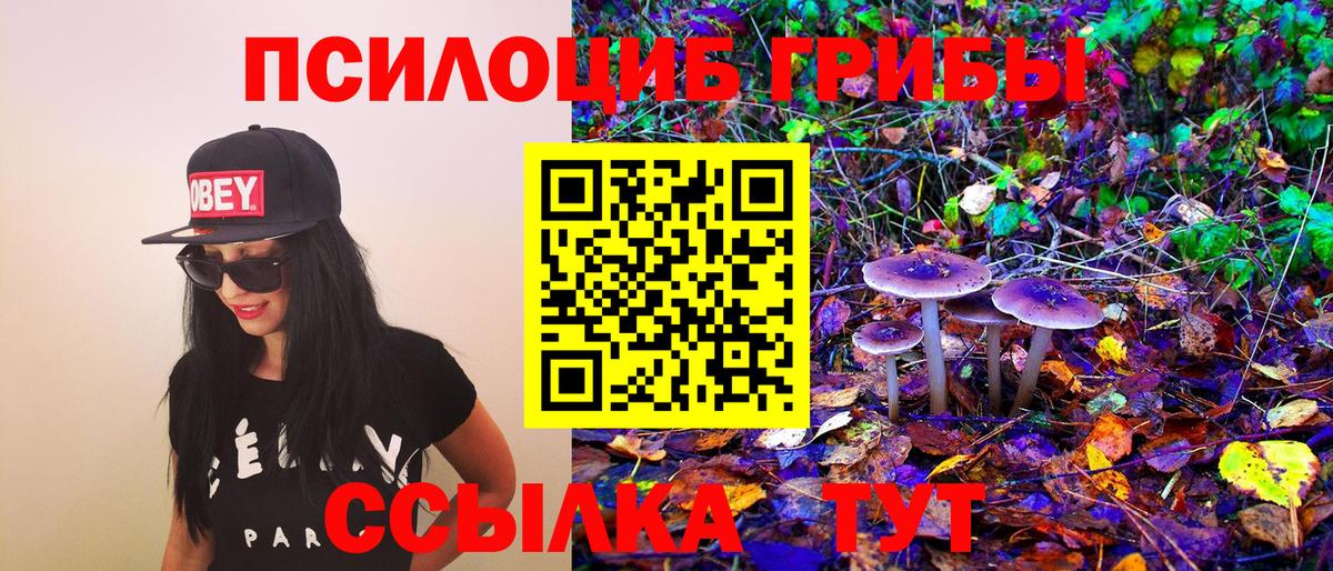 Галлюциногенные грибы Psilocybine cubensis  Вход с VPN  Десногорск 
